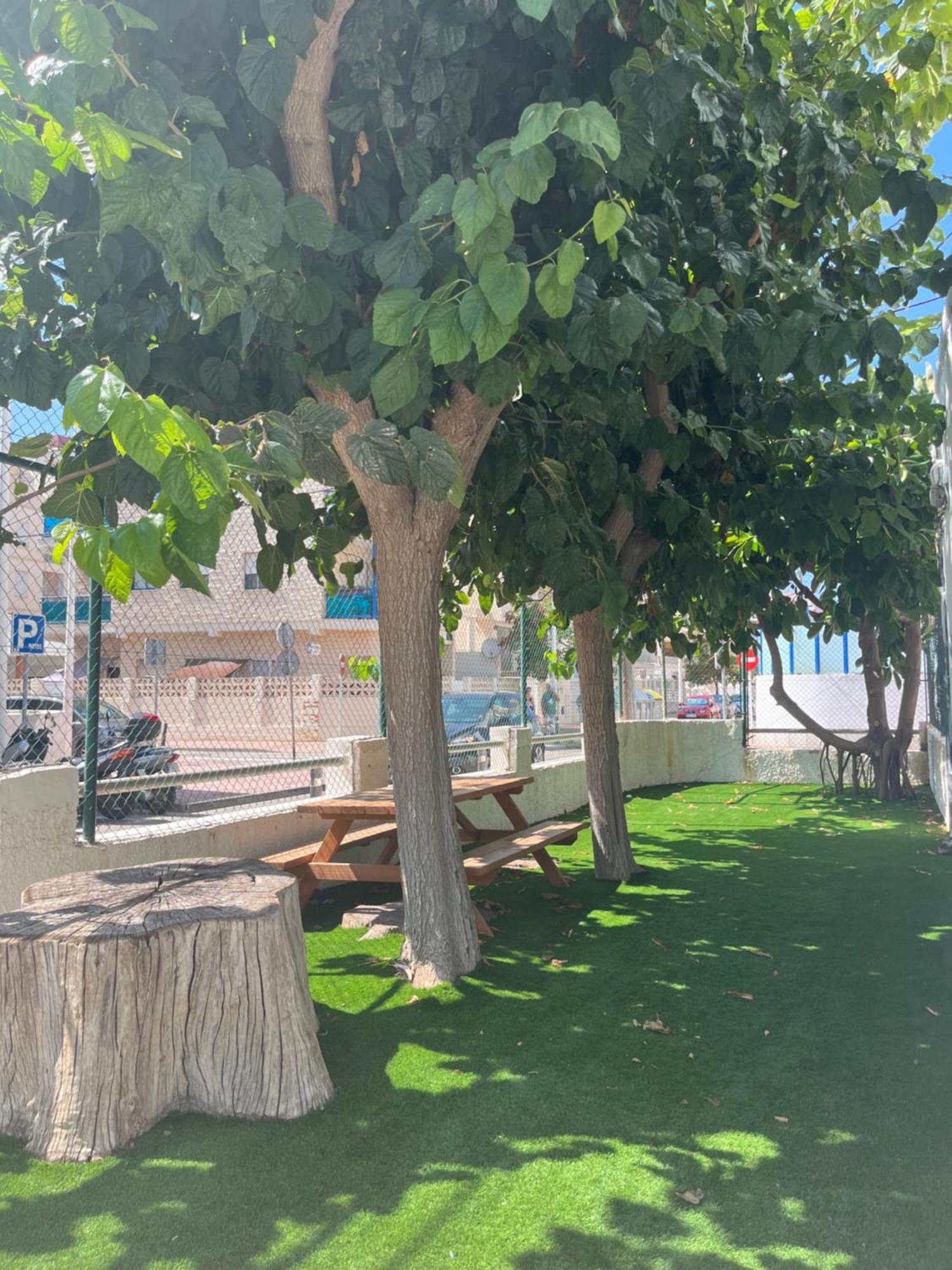 Apartamento 1ª Linea De Playa - Con Piscina Y Parking Playa de Gandia Eksteriør billede